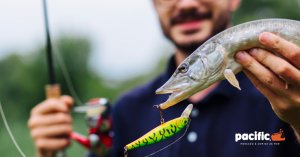 Lee más sobre el artículo Características y tallas mínimas de los peces sostenibles